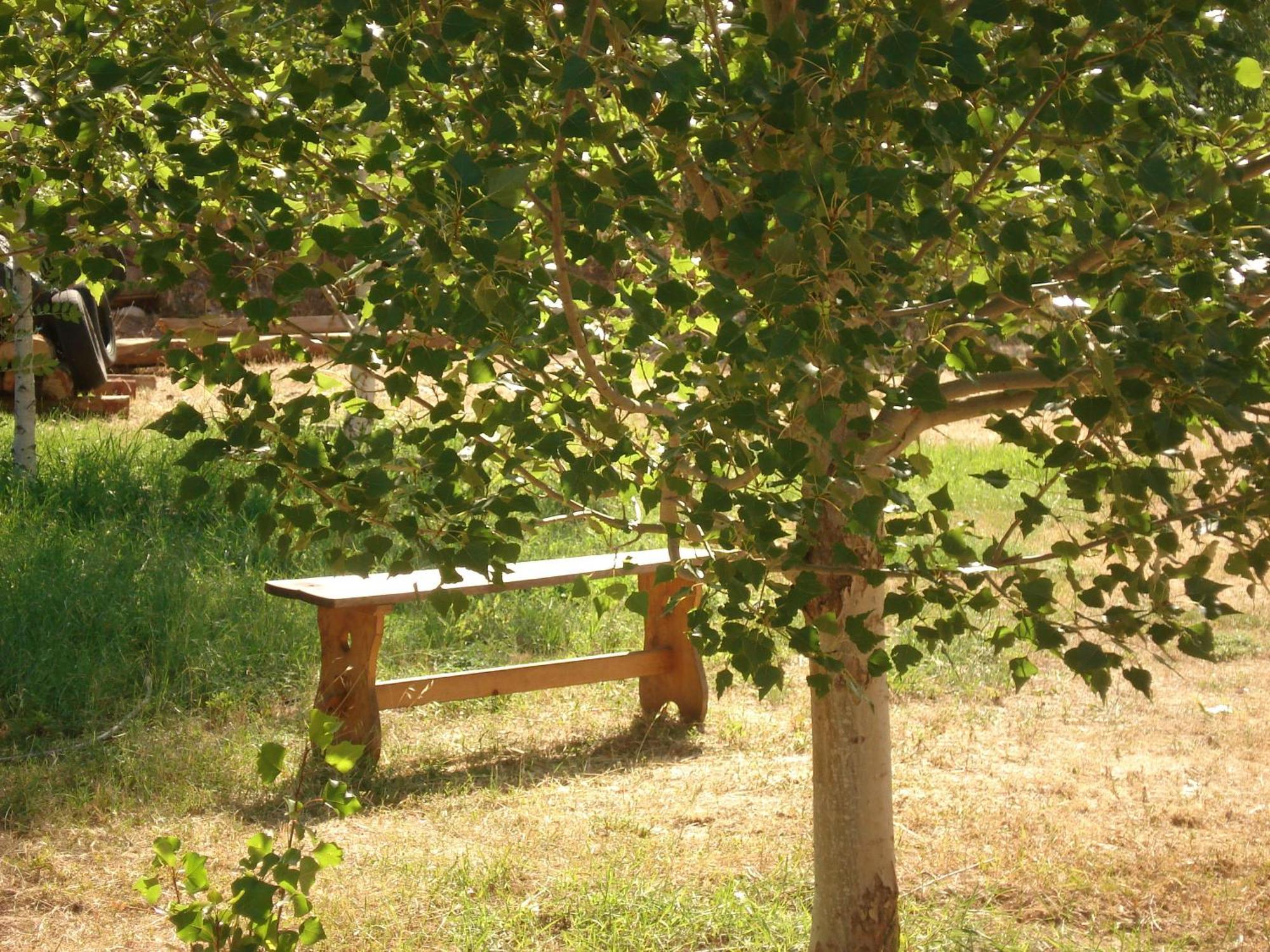 Masia El Carcaba - Moli Del Pont. Корнуделья Экстерьер фото